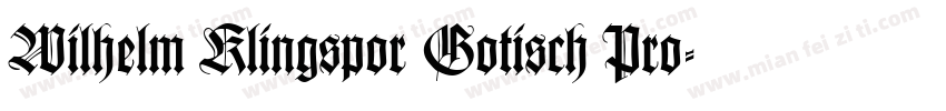 Wilhelm Klingspor Gotisch Pro字体转换